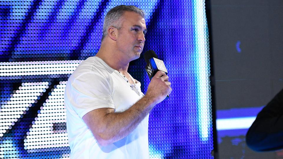wwe 2k battlegrounds shane mcmahon wwe 2k battlegrounds shane mcmahon