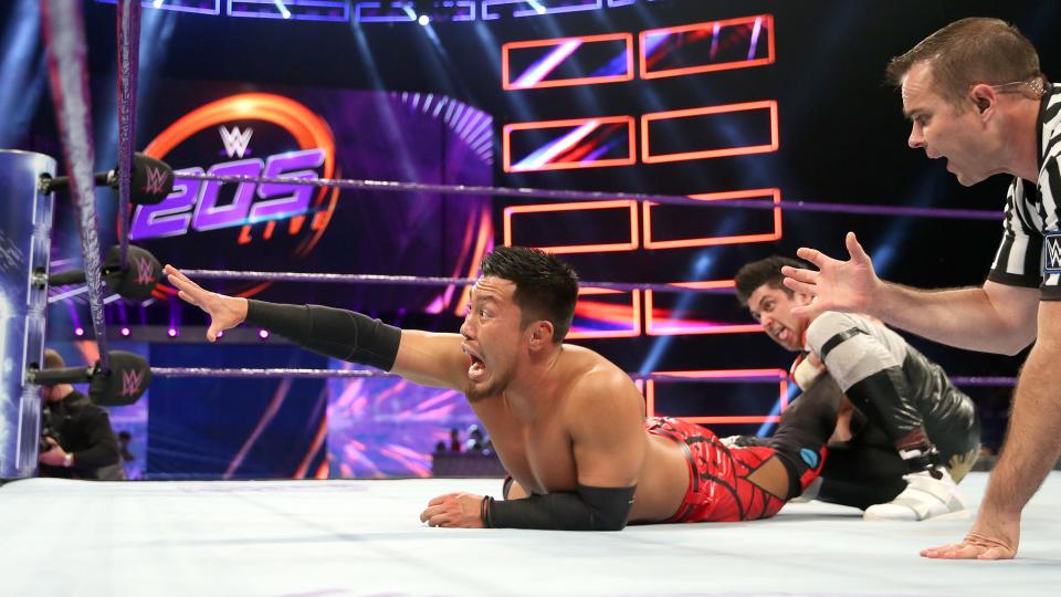 WWE 205 Live (13/06/2017)