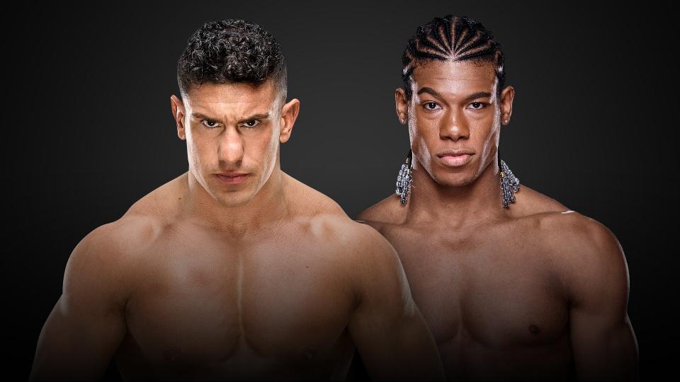 Combates marcados para o WWE NXT TakeOver: Brooklyn 4