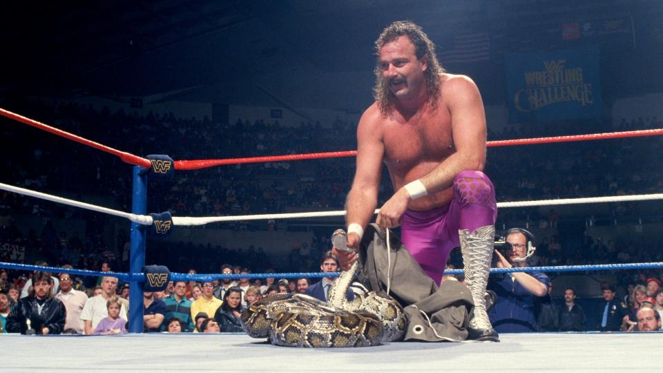 5 Lendas dos anos 80 que teriam sucesso na WWE atualmente