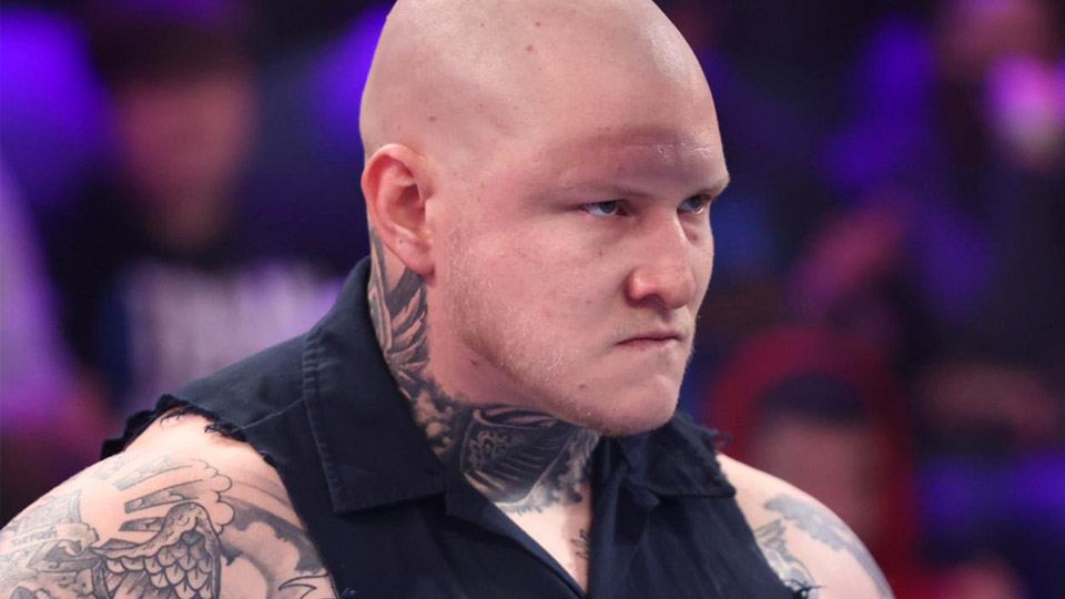 Harland pode subir ao main roster da WWE