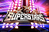WWE Superstars (25/01/2013)